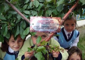 Öğrencilerden milli hassasiyet